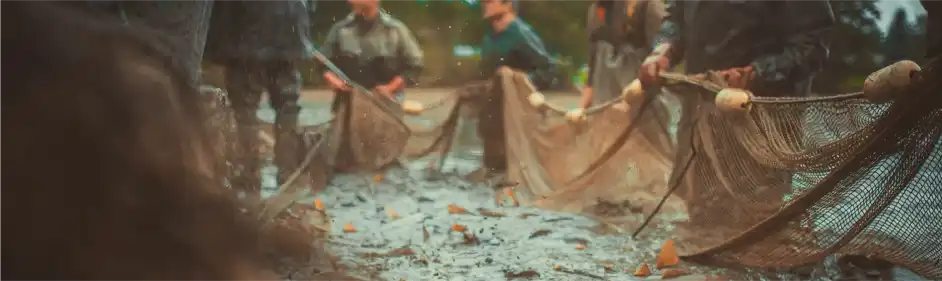 Členská schůze 11.11.2025